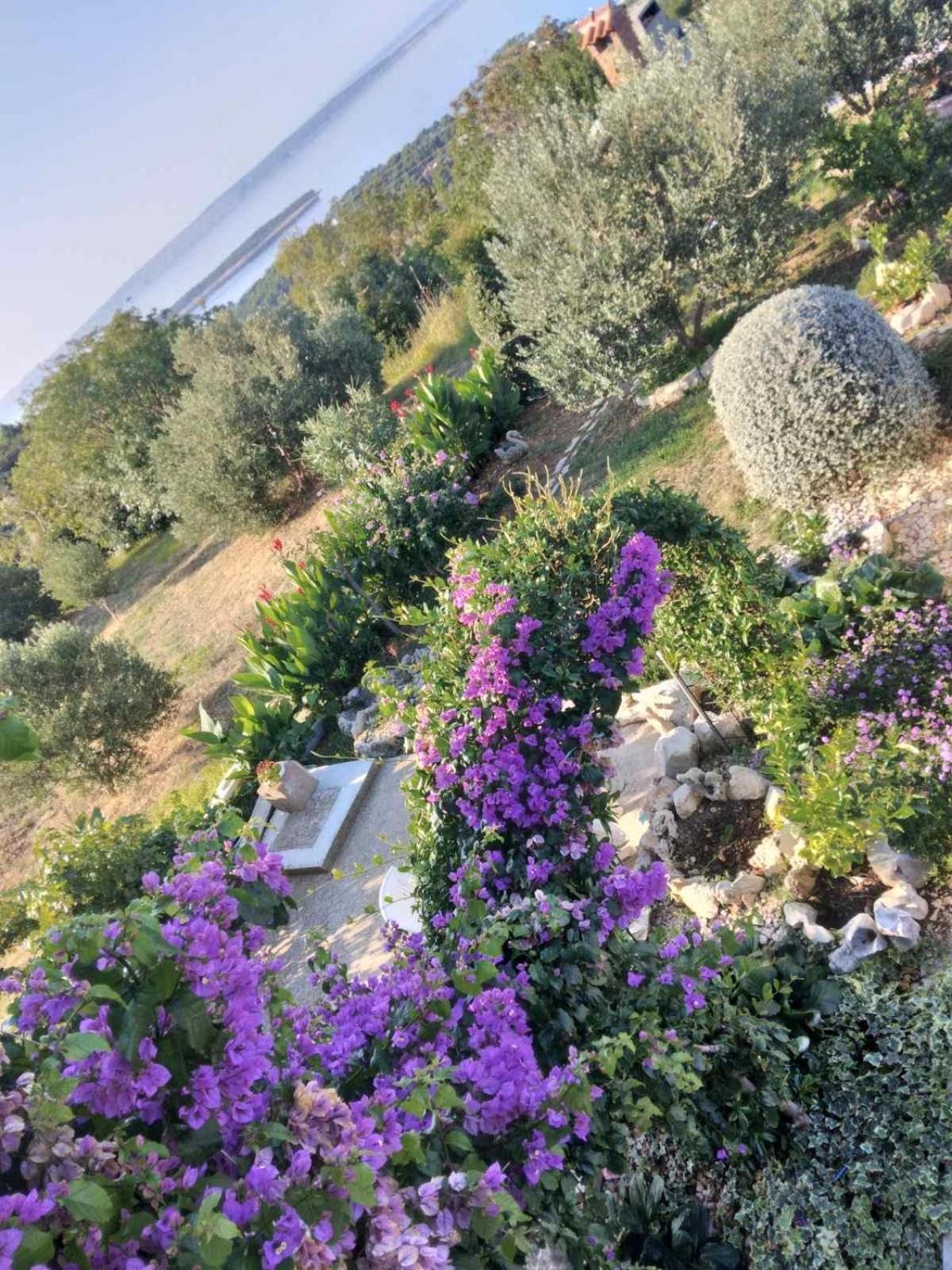 Apartments Panorama View Zeljko Scerbe Mundanije Экстерьер фото