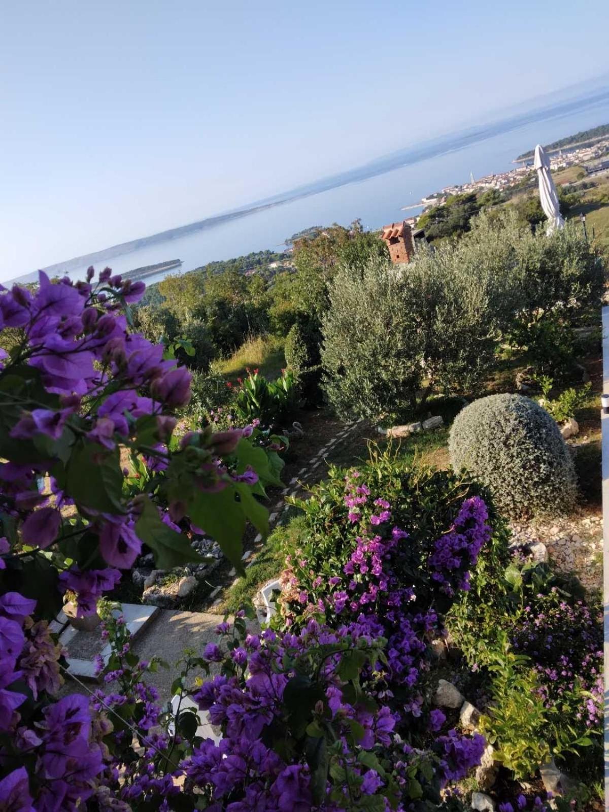 Apartments Panorama View Zeljko Scerbe Mundanije Экстерьер фото